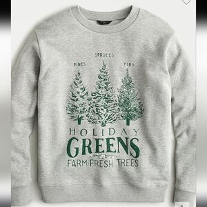 JCrew Holiday Greens Sweatshirt Size XL